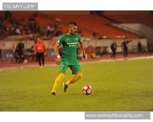 杭州网球队战术表现深度分析与数据解读探讨