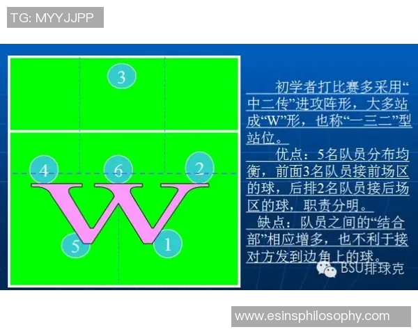 排球战术揭秘:深入分析北京排球队的制胜之道与训练秘诀 排球战术揭秘:深入分析北京排球队的制胜之道与训练秘诀