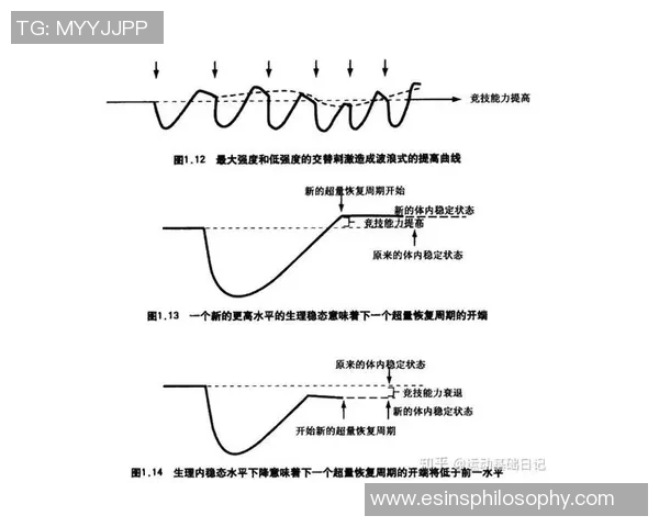 武汉排球队力量表现数据分析揭示运动员潜力与训练效果的深度关系 武汉排球队力量表现数据分析揭示运动员潜力与训练效果的深度关系