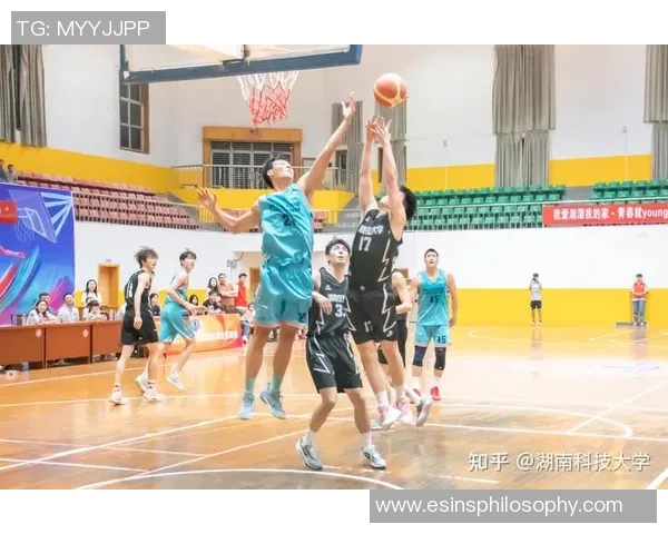 成都篮球队技术革新引发热议助力球队崛起与发展