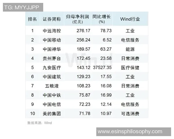 广州篮球队灵活性排名揭晓荣登第十名引发关注与期待