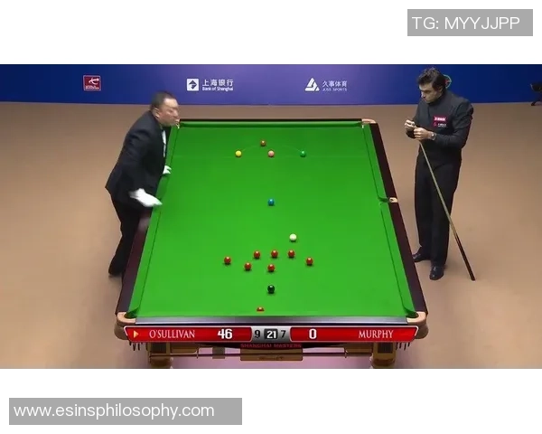 广州排球队在大师赛中的状态分析与表现评估