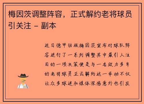 梅因茨调整阵容，正式解约老将球员引关注 - 副本