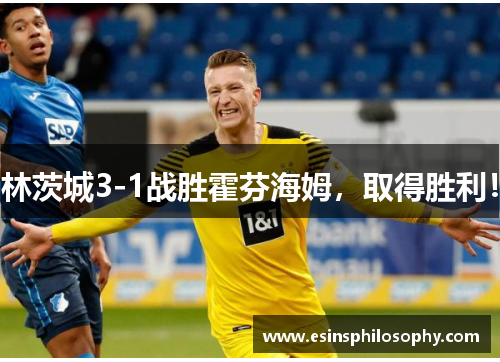 林茨城3-1战胜霍芬海姆，取得胜利！
